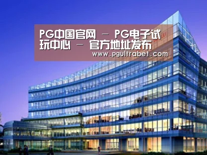 案例展示五