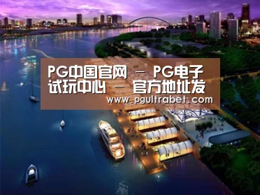 案例展示八